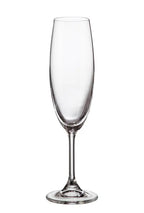 Sylvia šampanjac 220 ML 6/1